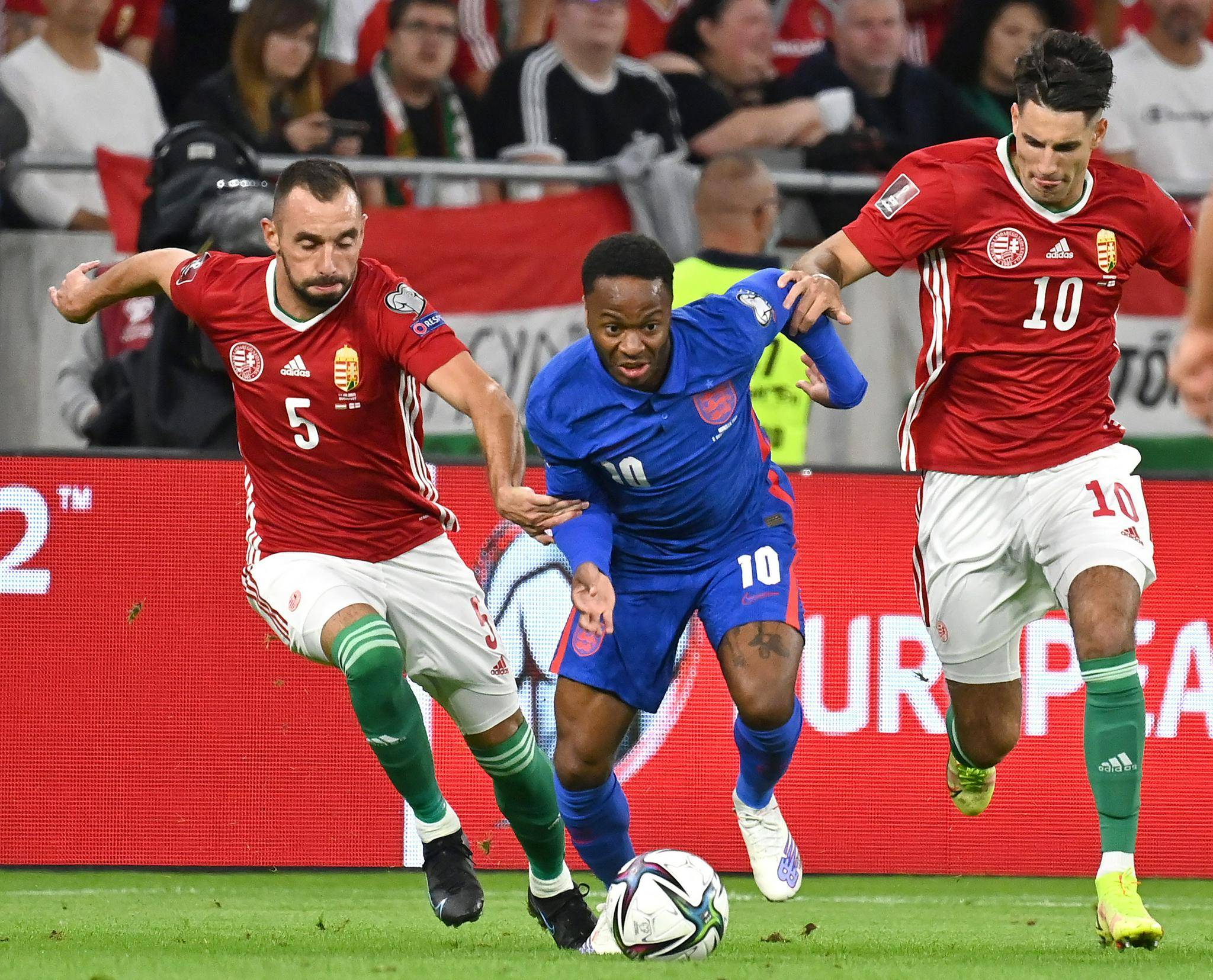 欧预赛惊现黑马,德国被淘汰出局 欧预赛惊现黑马,德国被淘汰出局